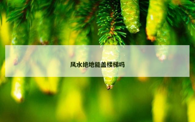 风水绝地能盖楼梯吗
