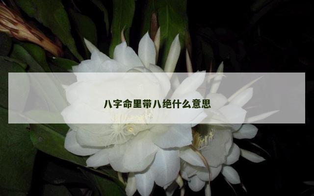 八字命里带八绝什么意思