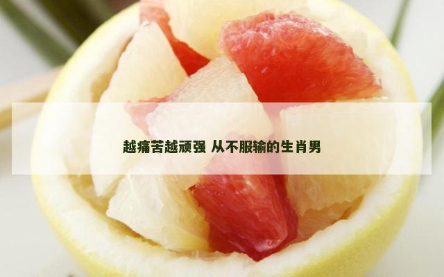 越痛苦越顽强 从不服输的生肖男