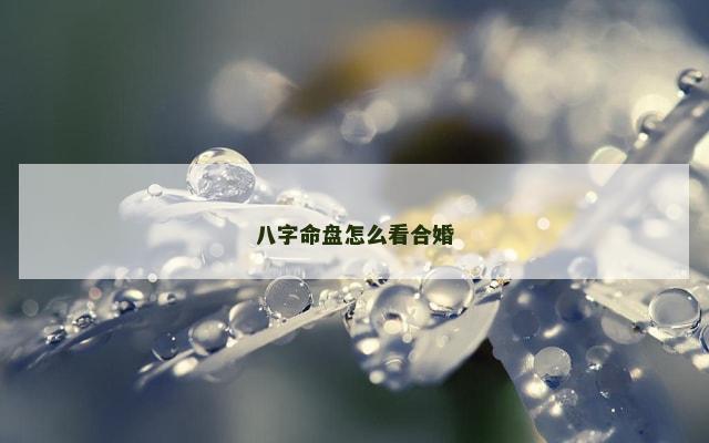 八字命盘怎么看合婚