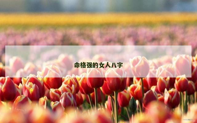 命格强的女人八字