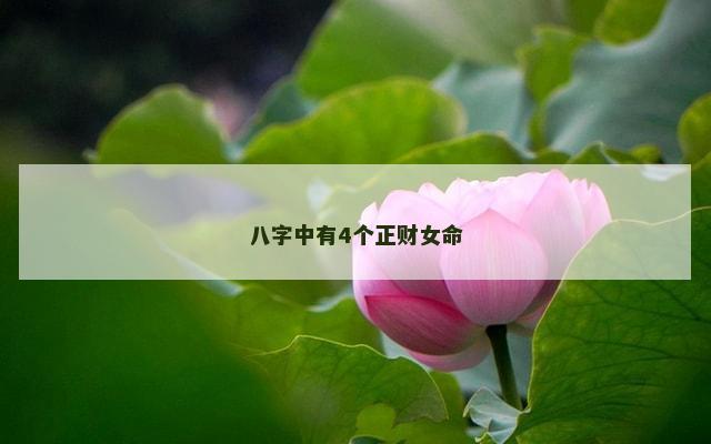 八字中有4个正财女命
