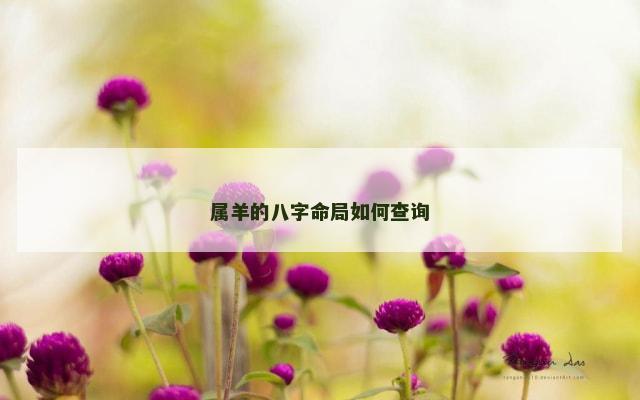 属羊的八字命局如何查询