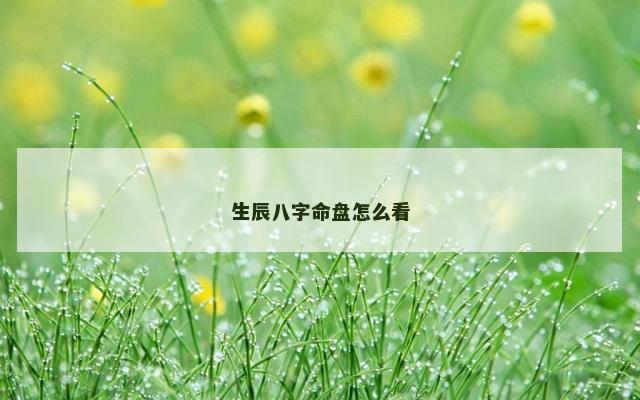 生辰八字命盘怎么看
