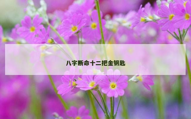 八字断命十二把金钥匙