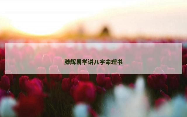 滕辉易学讲八字命理书