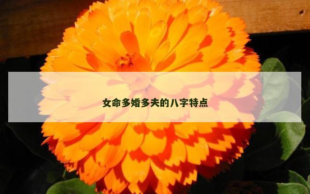 女命多婚多夫的八字特点