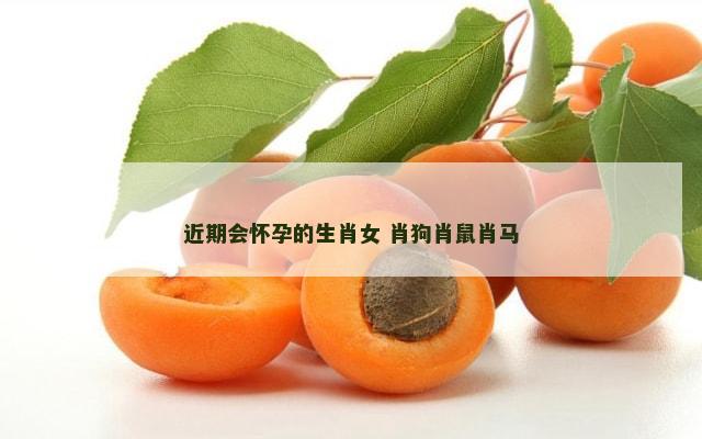 近期会怀孕的生肖女 肖狗肖鼠肖马