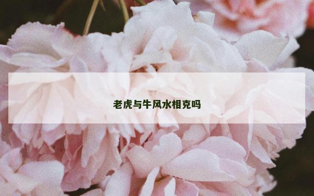 老虎与牛风水相克吗