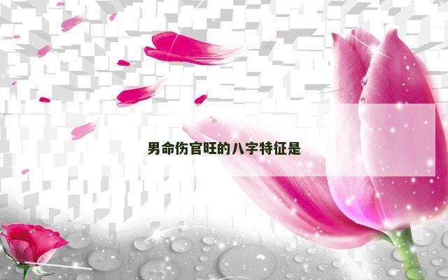 男命伤官旺的八字特征是