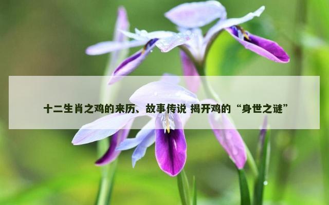 十二生肖之鸡的来历、故事传说 揭开鸡的“身世之谜”