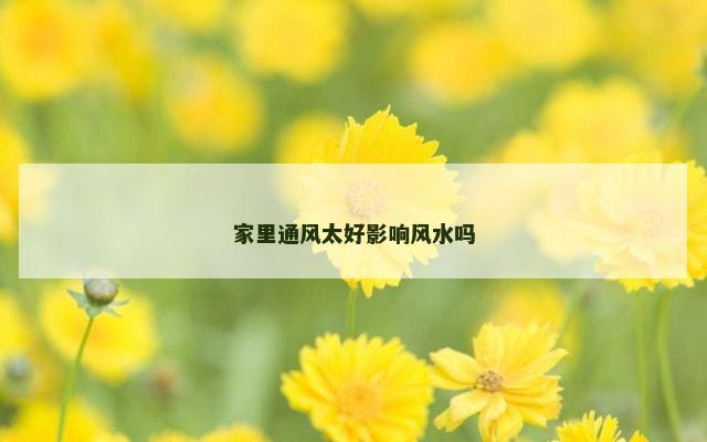 家里通风太好影响风水吗