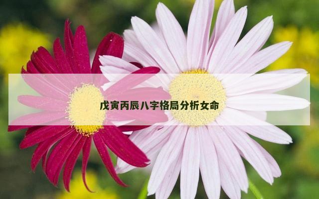 戊寅丙辰八字格局分析女命