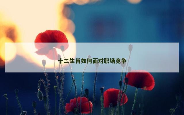 十二生肖如何面对职场竞争