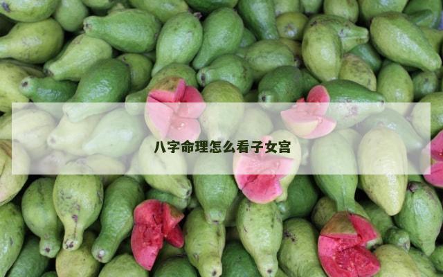 八字命理怎么看子女宫