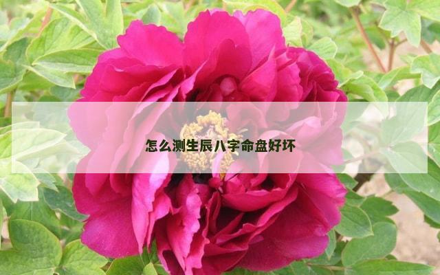 怎么测生辰八字命盘好坏