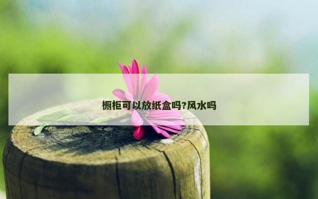 橱柜可以放纸盒吗?风水吗