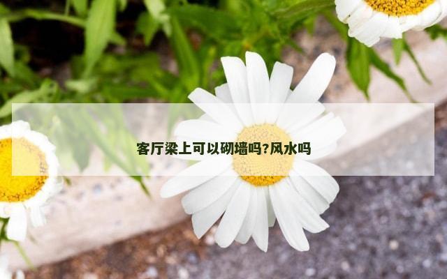 客厅梁上可以砌墙吗?风水吗