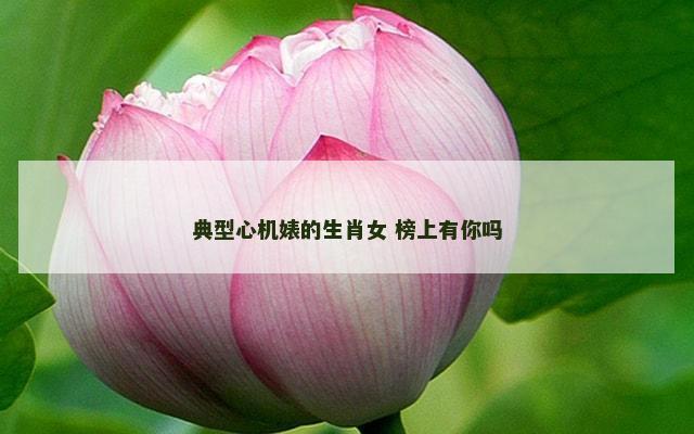 典型心机婊的生肖女 榜上有你吗