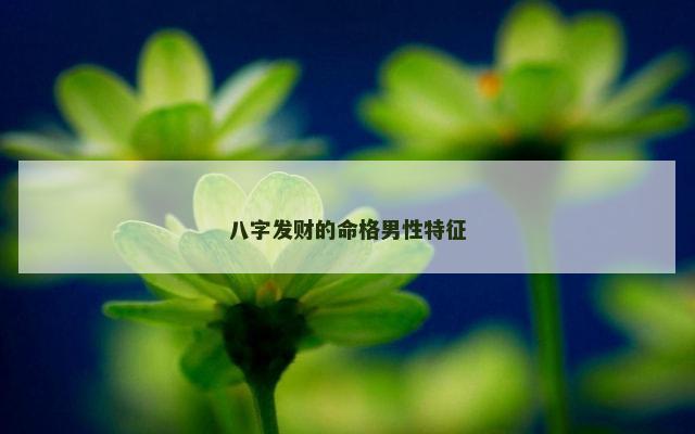 八字发财的命格男性特征