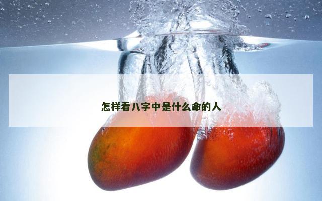 怎样看八字中是什么命的人