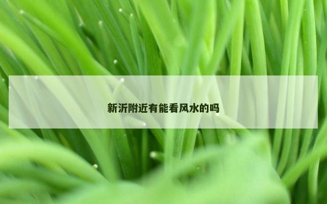 新沂附近有能看风水的吗