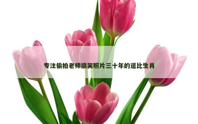 专注偷拍老师搞笑照片三十年的逗比生肖