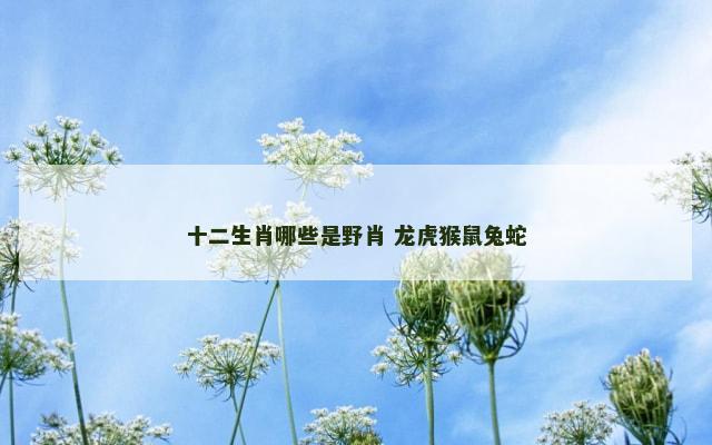 十二生肖哪些是野肖 龙虎猴鼠兔蛇