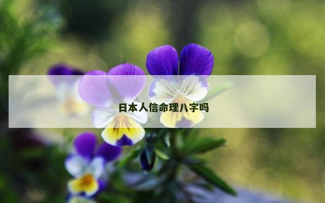 日本人信命理八字吗