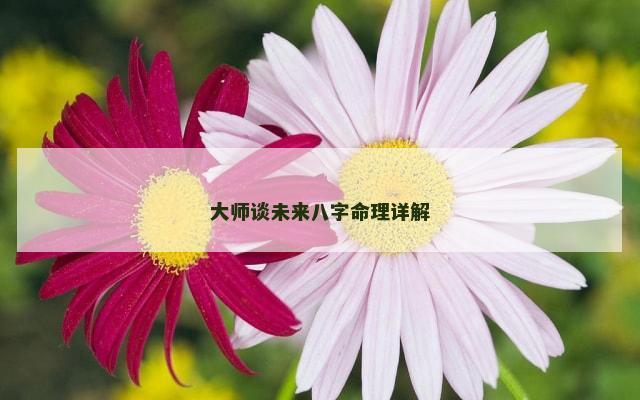 大师谈未来八字命理详解