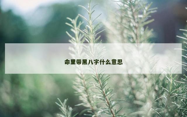 命里带黑八字什么意思