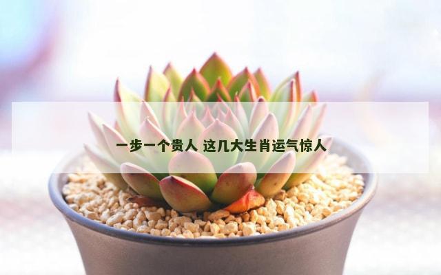 一步一个贵人 这几大生肖运气惊人