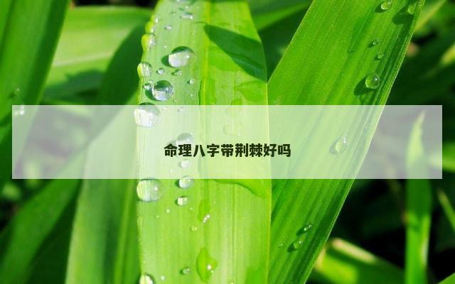 命理八字带荆棘好吗