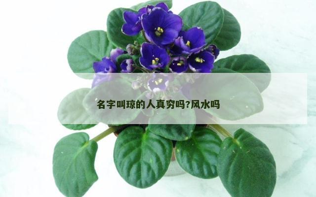 名字叫琼的人真穷吗?风水吗