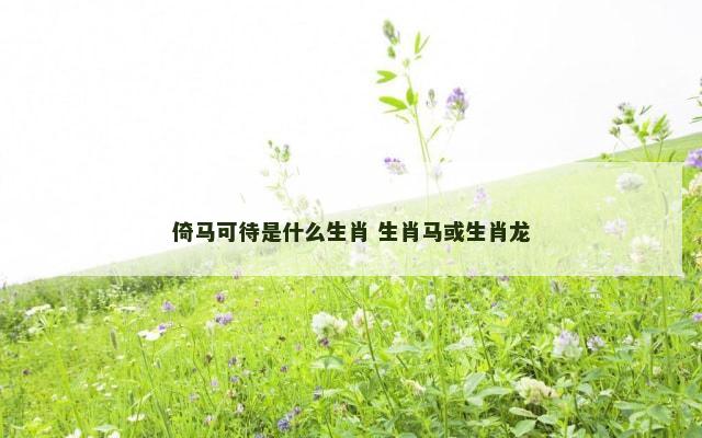 倚马可待是什么生肖 生肖马或生肖龙