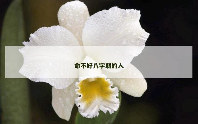 命不好八字弱的人