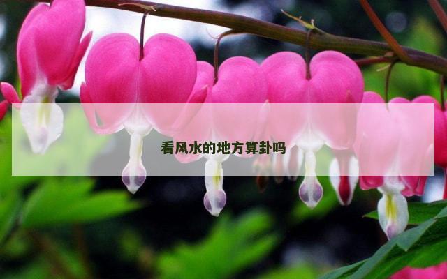 看风水的地方算卦吗