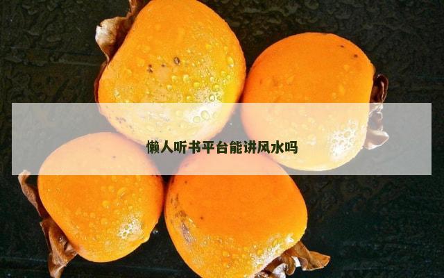 懒人听书平台能讲风水吗