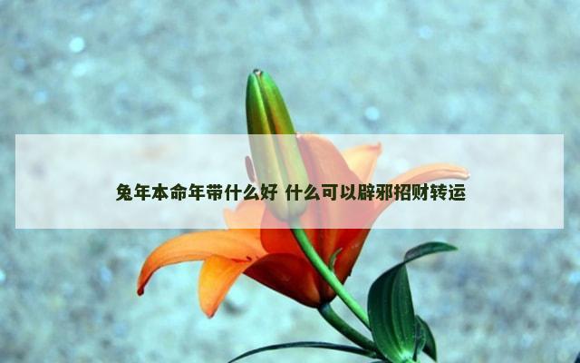 兔年本命年带什么好 什么可以辟邪招财转运