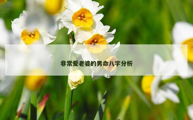 非常爱老婆的男命八字分析