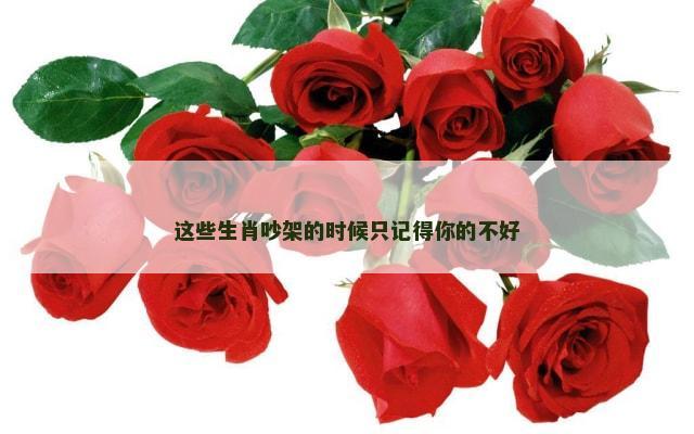 这些生肖吵架的时候只记得你的不好