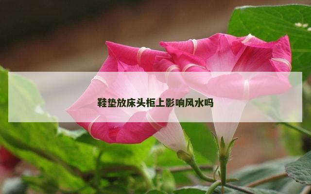 鞋垫放床头柜上影响风水吗