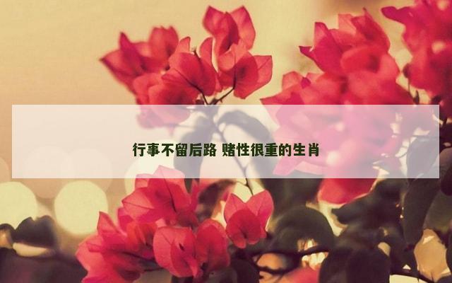 行事不留后路 赌性很重的生肖