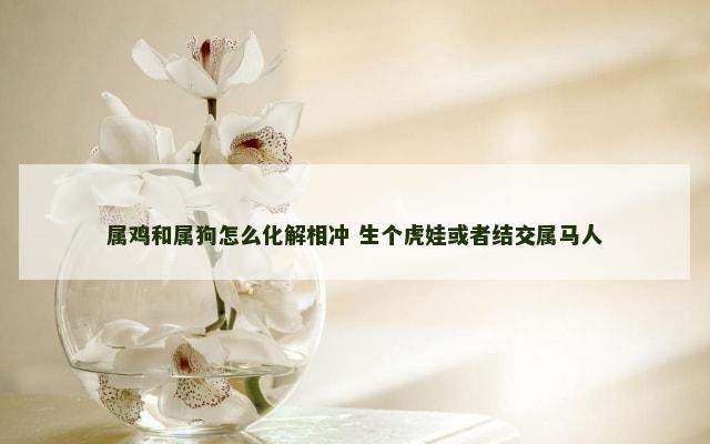 属鸡和属狗怎么化解相冲 生个虎娃或者结交属马人