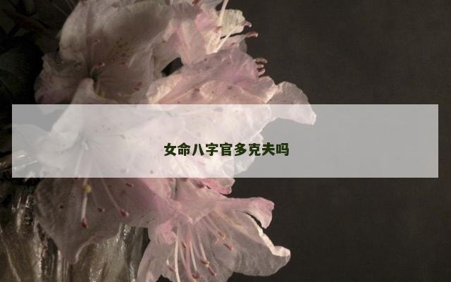 女命八字官多克夫吗