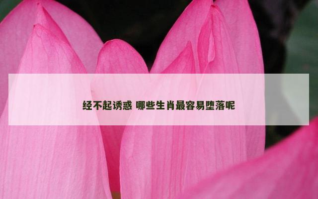 经不起诱惑 哪些生肖最容易堕落呢