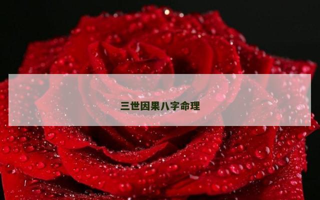 三世因果八字命理