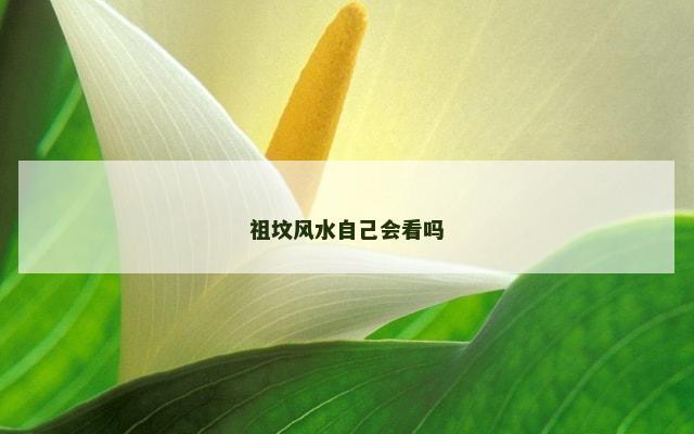 祖坟风水自己会看吗