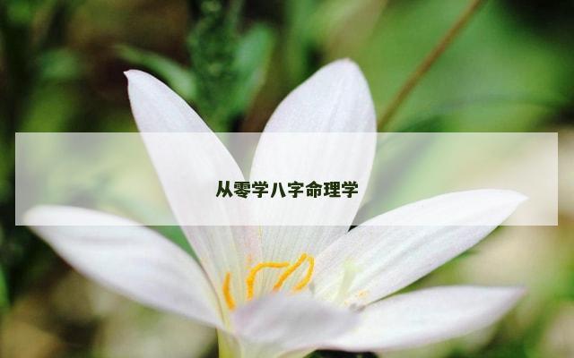从零学八字命理学