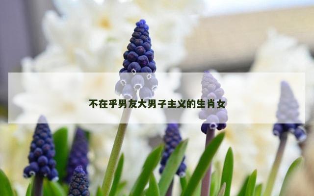 不在乎男友大男子主义的生肖女